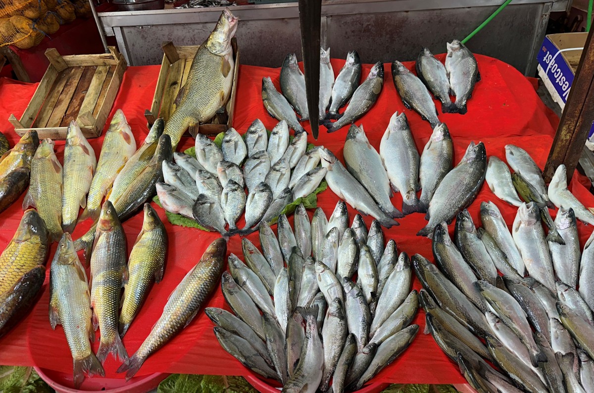  Balıkçı Tezgahlarında Çeşit Arttı, Fiyat Düştü
