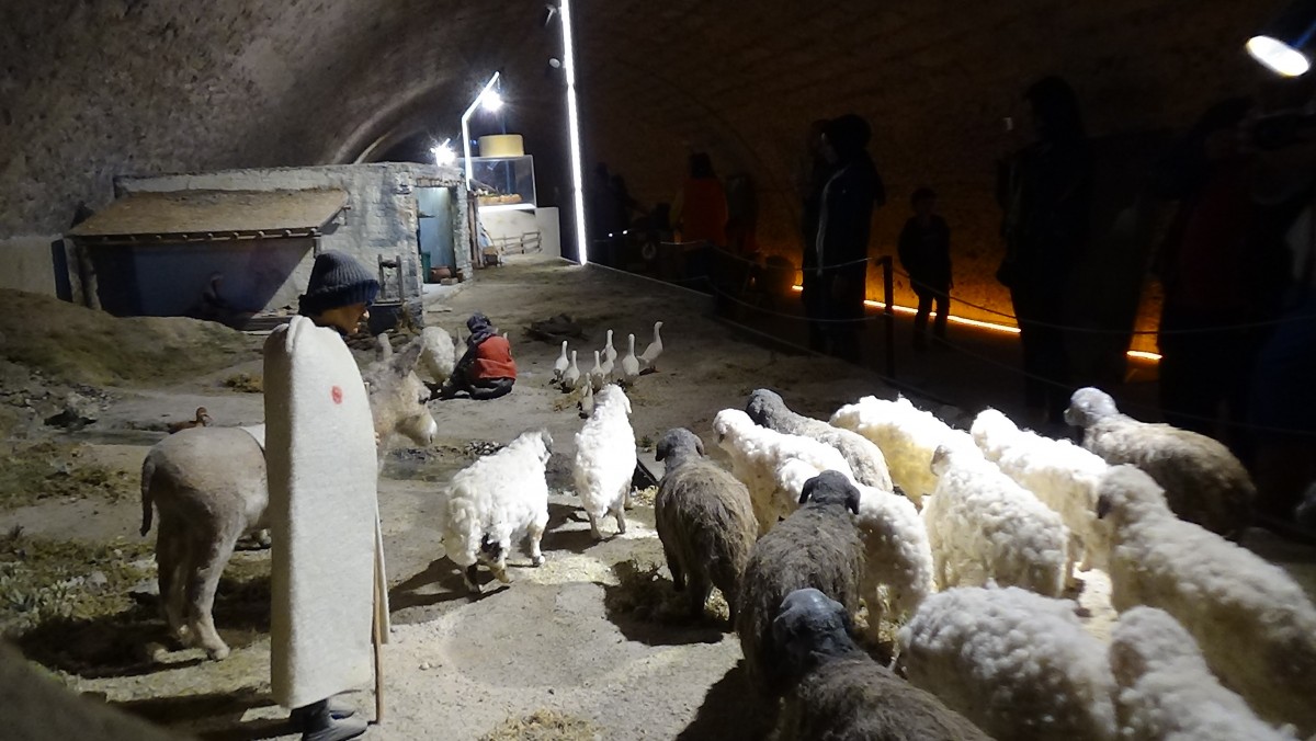 Türkiye'nin İlk Ve Tek Peynir Müzesine Yoğun İlgi